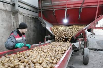 Липецкие предприятия подводят итоги участия в нацпроекте «Производительность труда» - lipetskmedia.ru