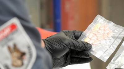 Пандемия не остановила наркоторговцев - ru.euronews.com - Россия - США - Крым - Англия
