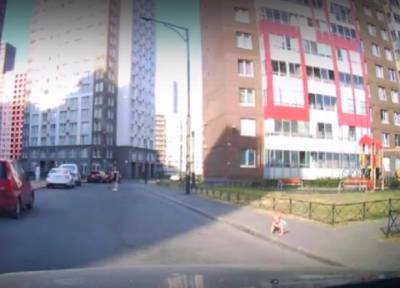 Оставленный без присмотра младенец в Ленобласти выполз на дорогу перед машиной - province.ru - Ленинградская обл.