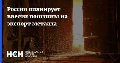 Максим Решетников - Россия планирует ввести пошлины на экспорт металла - nsn.fm - Россия