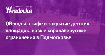 Андрей Воробьев - QR-коды в кафе и закрытие детских площадок: новые коронавирусные ограничения в Подмосковье - readovka.news - Московская обл. - Московская область