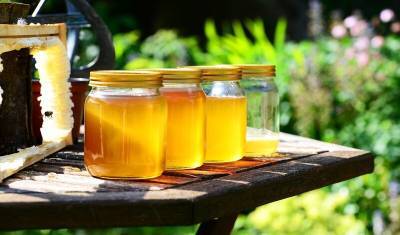 «Наш мед не хуже»: пчеловоды Татарстана сравнили свою продукцию с башкирской - mkset.ru - Башкирия - респ. Татарстан