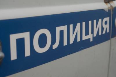 В Петербурге задержали тиктокера за съемку в полицейской форме - mk.ru - Санкт-Петербург - Пермь - Пермский край
