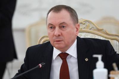 Владимир Макей - Роман Протасевич - Светлана Тихановская - София Сапеги - Министра иностранных дел Белоруссии обвинили в «торговле» политзаключенными - lenta.ru - Белоруссия - Минск