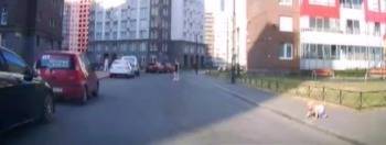 Опубликовано видео годовалого ребенка, выползшего на проезжую часть - vologda-poisk.ru - Ленинградская обл.