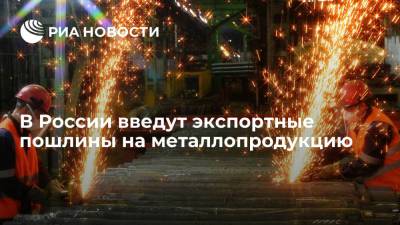 Михаил Мишустин - Максим Решетников - В России введут экспортные пошлины на металлопродукцию - ria.ru - Москва - Россия