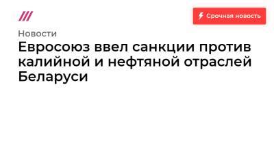 Евросоюз ввел санкции против калийной и нефтяной отраслей Беларуси - tvrain.ru - Белоруссия - Вильнюс - Минск