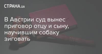 В Австрии суд вынес приговор отцу и сыну, научившим собаку зиговать - strana.ua - Австрия - Украина