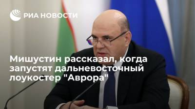 Владимир Путин - Михаил Мишустин - Мишустин рассказал, что дальневосточный лоукостер "Аврора" совершит первые полеты в июле - ria.ru - Москва - Россия