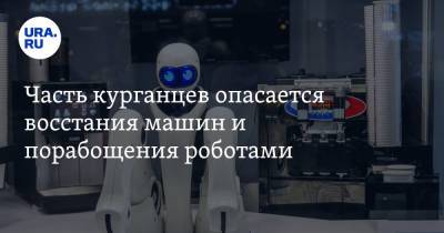Часть курганцев опасается восстания машин и порабощения роботами - ura.news