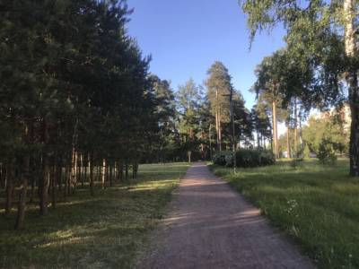 В Петербурге из-за ветра закрывают сады и скверы - rosbalt.ru - Санкт-Петербург
