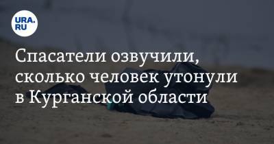 Спасатели озвучили, сколько человек утонули в Курганской области - ura.news - Россия - Курганская обл.