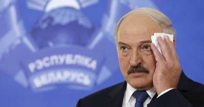 Александр Лукашенко - Роман Протасевич - София Сапеги - Банки, нефть, оружие: ЕС ввел новый пакет секторальных санкций против Беларуси - focus.ua - Украина - Белоруссия - Минск