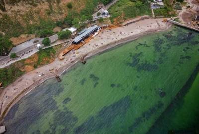 Отдых на море в Украине: с токсичными водорослями, змеями и морскими блохами - kp.ua - Украина - Экология