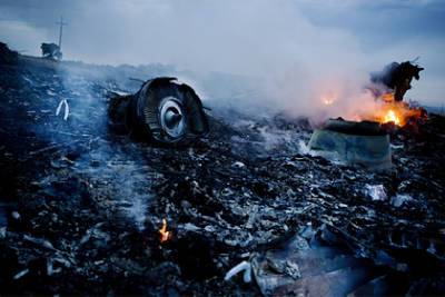 Защита обвинила прокуратуру в искажении данных по делу MH17 - lenta.ru - Россия