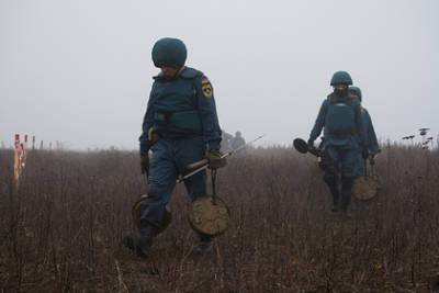 Украину обвинили в желании вернуть позиции в Донбассе с помощью разминирования - lenta.ru - Украина - Киев - ДНР