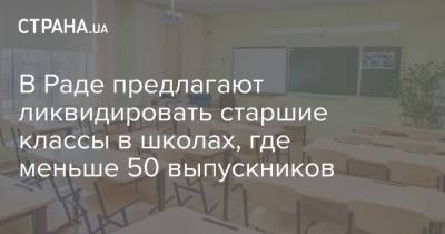 В Раде предлагают ликвидировать старшие классы в школах, где меньше 50 выпускников - strana.ua - Украина - Винницкая обл.