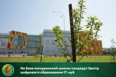 В одной из школ Мичуринска появится IT-куб - tambov.mk.ru - Мичуринск