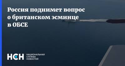Александр Лукашевич - Россия поднимет вопрос о британском эсминце в ОБСЕ - nsn.fm - Россия