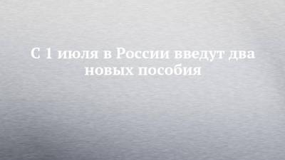 Владимир Путин - Михаил Мишустин - С 1 июля в России введут два новых пособия - chelny-izvest.ru - Россия