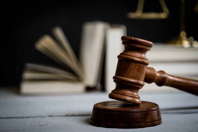 В Австрии суд вынес приговор отцу и сыну, которые научили собаку нацистскому приветствию - sharij.net - Австрия