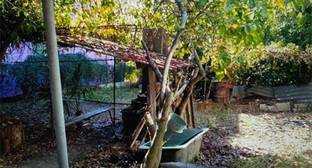 Сочинцы назвали земельную тяжбу Кочьяна с мэрией типичной для города - kavkaz-uzel.eu - Адлер