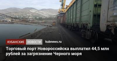 Торговый порт Новороссийска выплатил 44,5 млн рублей за загрязнение Черного моря - kubnews.ru - Краснодарский край - Новороссийск - Новороссийск - Черное Море - Экология