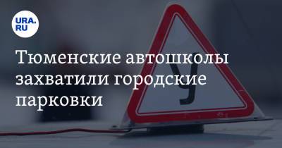 Тюменские автошколы захватили городские парковки - ura.news - Тюмень