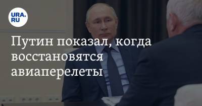 Владимир Путин - Сергей Чемезов - Путин показал, когда восстановятся авиаперелеты - ura.news - Россия - США