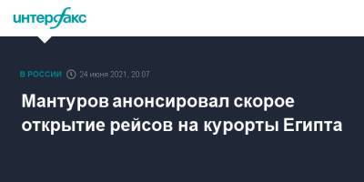 Владимир Путин - Денис Мантуров - Мантуров анонсировал скорое открытие рейсов на курорты Египта - interfax.ru - Москва - Россия - Египет