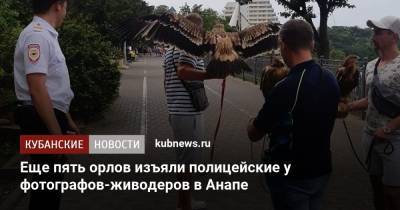 Еще пять орлов изъяли полицейские у фотографов-живодеров в Анапе - kubnews.ru - Россия - Анапа - Краснодарский край - респ. Карачаево-Черкесия - Витязево