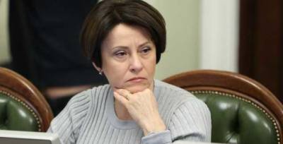 Нина Южанина - Налоговый проект №5600 - это варварство против собственного бизнеса, - Южанина - novostiua.news - Украина