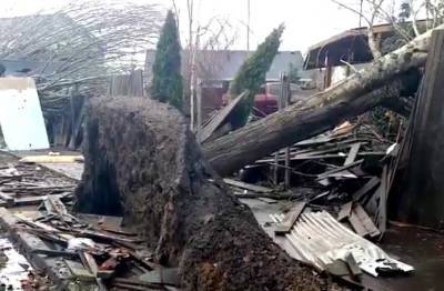 Oт торнадо в Чехии пострадали семь населенных пунктов, eсть погибшие - trend.az - Чехия - Южноморавский край