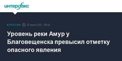 Уровень реки Амур у Благовещенска превысил отметку опасного явления - interfax.ru - Москва - Амурская обл. - Благовещенск