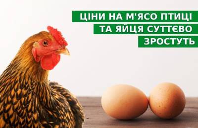 Цены на мясо птицы и яйца существенно вырастут - agroportal.ua - Украина