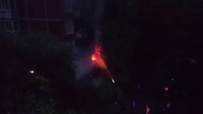 При пожаре в квартире на Академика Байкова погибла пожилая женщина - видео - piter.tv - Санкт-Петербург