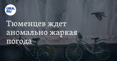 Тюменцев ждет аномально жаркая погода - ura.news - Тюмень - Тюменская обл.