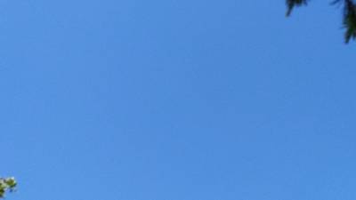 Минприроды Башкирии высказалось о запахе в Уфе - ufacitynews.ru - Башкирия - Уфа
