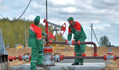 Роман Протасевич - Евросоюз впервые ввел запрет на приобретение любых нефтепродуктов у Белоруссии - newizv.ru - Белоруссия - Минск
