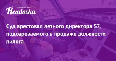 Суд арестовал летного директора S7, подозреваемого в продаже должности пилота - readovka.news - Россия