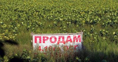 Рынок земли в Украине. Кто и как сможет продавать и покупать гектары с 1 июля - dsnews.ua - Украина