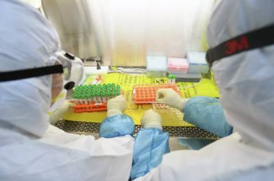 В Кыргызстане у 71,2% населения имеются антитела к COVID-19 - trend.az - Киргизия
