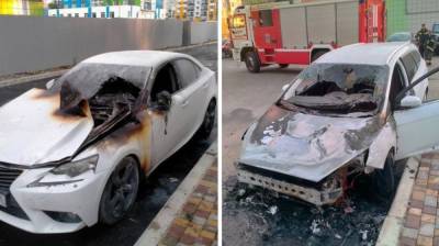Lexus - В Воронеже задержали спалившего две иномарки «чёрного мстителя» - vestivrn.ru - Воронеж