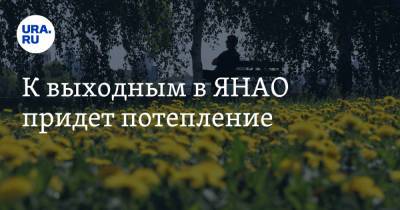 К выходным в ЯНАО придет потепление - ura.news - окр. Янао