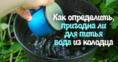 Как понять, что из колодца можно напиться без опаски - skuke.net
