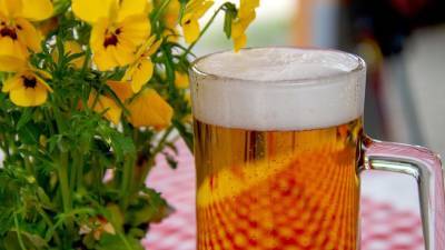 Зухра Павлова - Эндокринолог рассказала о негативных последствиях употребления пива в жару - russian.rt.com