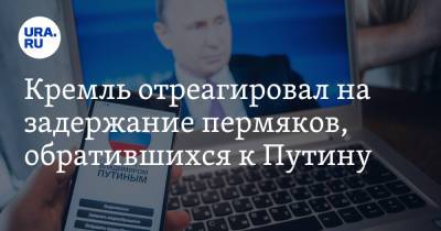 Владимир Путин - Дмитрий Песков - Кремль отреагировал на задержание пермяков, обратившихся к Путину - ura.news - Россия - Пермь