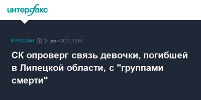 Елена Марковская - СК опроверг связь девочки, погибшей в Липецкой области, с "группами смерти" - interfax.ru - Москва - Липецкая обл.