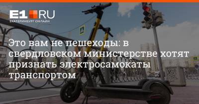 Максим Бутусов - Это вам не пешеходы: в свердловском министерстве хотят признать электросамокаты транспортом - e1.ru - Екатеринбург - Свердловская обл.