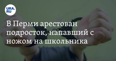В Перми арестован подросток, напавший с ножом на школьника - ura.news - Россия - Пермь